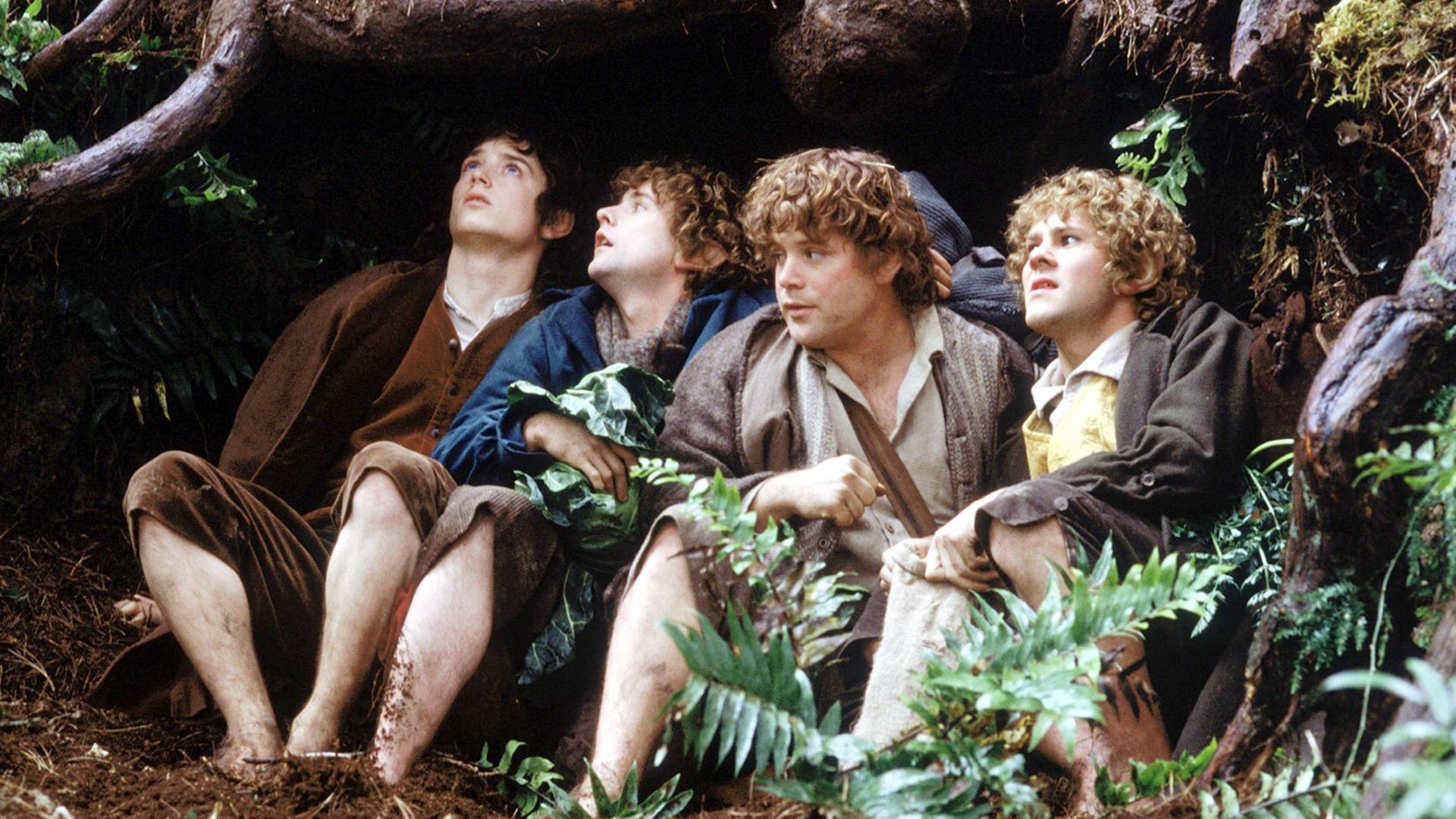 watch fellowship of the ring extended online