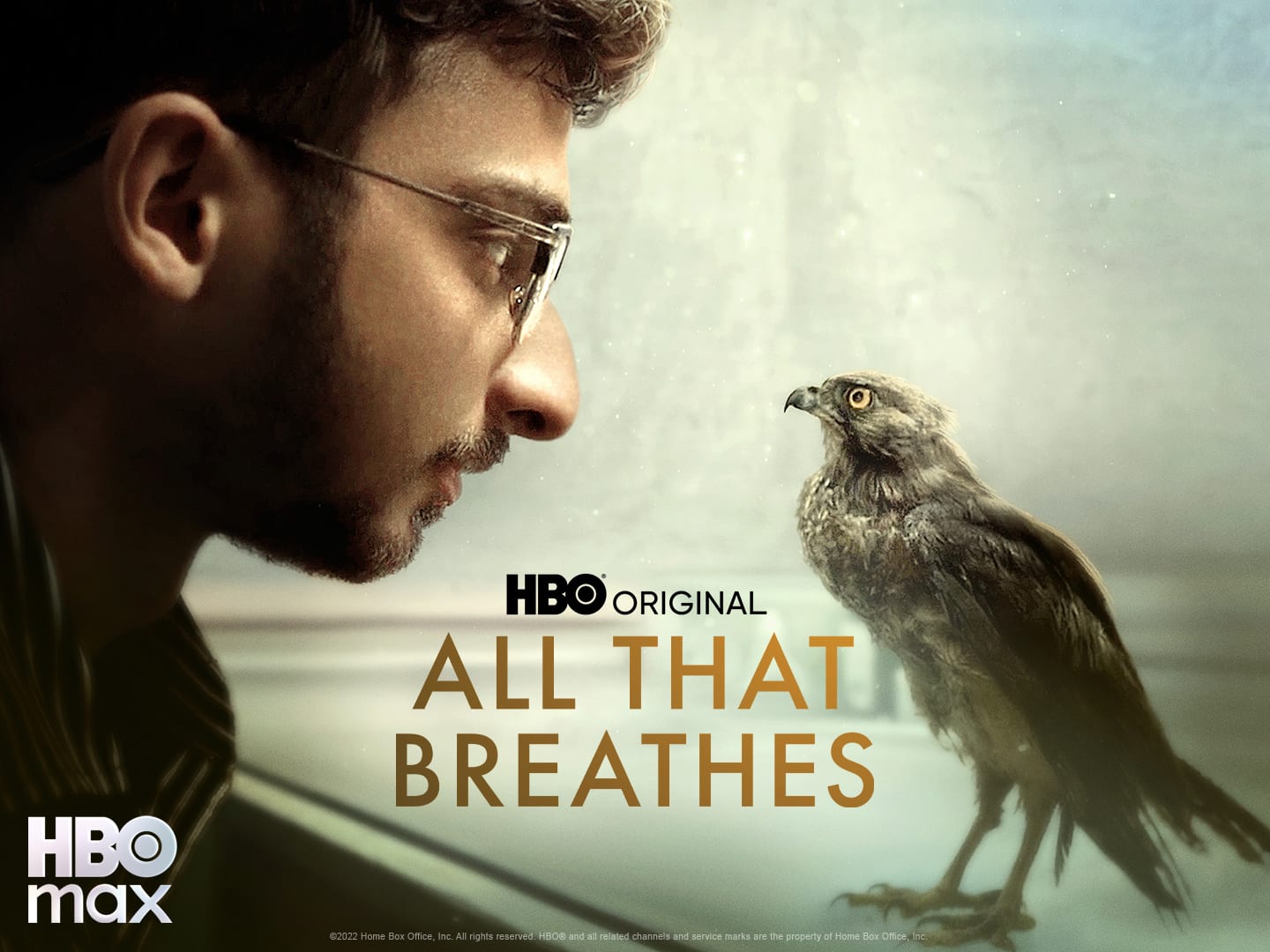 Watch All That Breathes Online with NEON