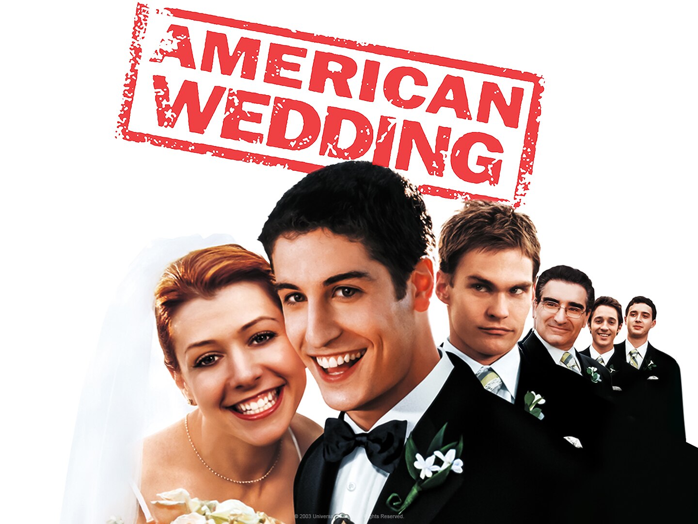 Steve Stifler American Pie The Wedding Full Movie Free Watch