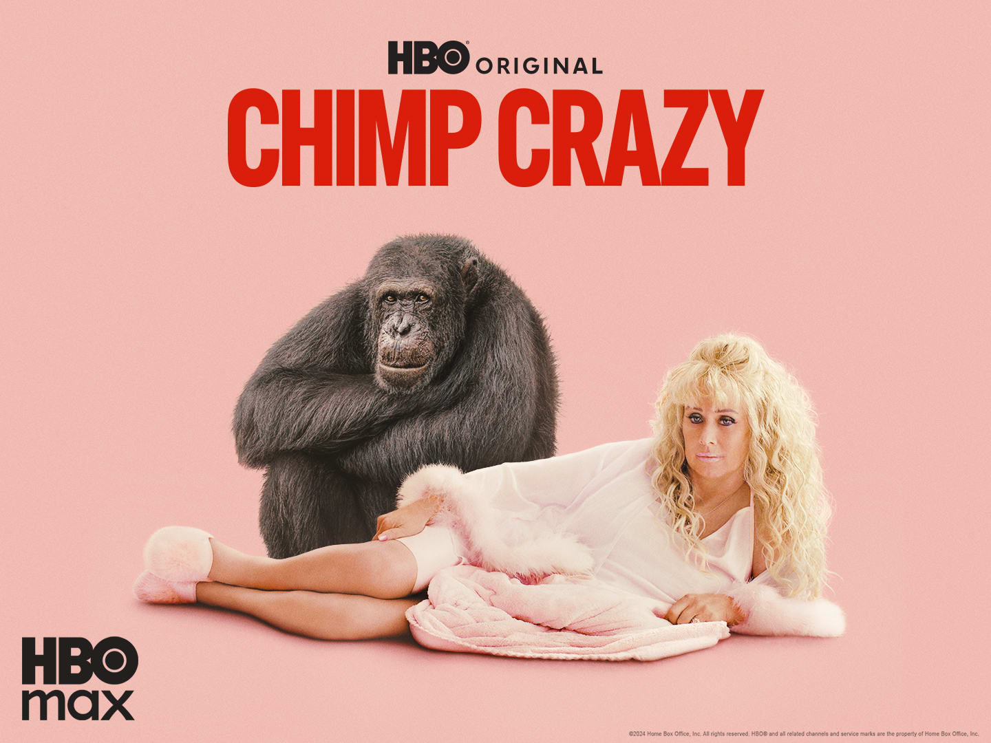 Watch Chimp Crazy Online Season on NEON