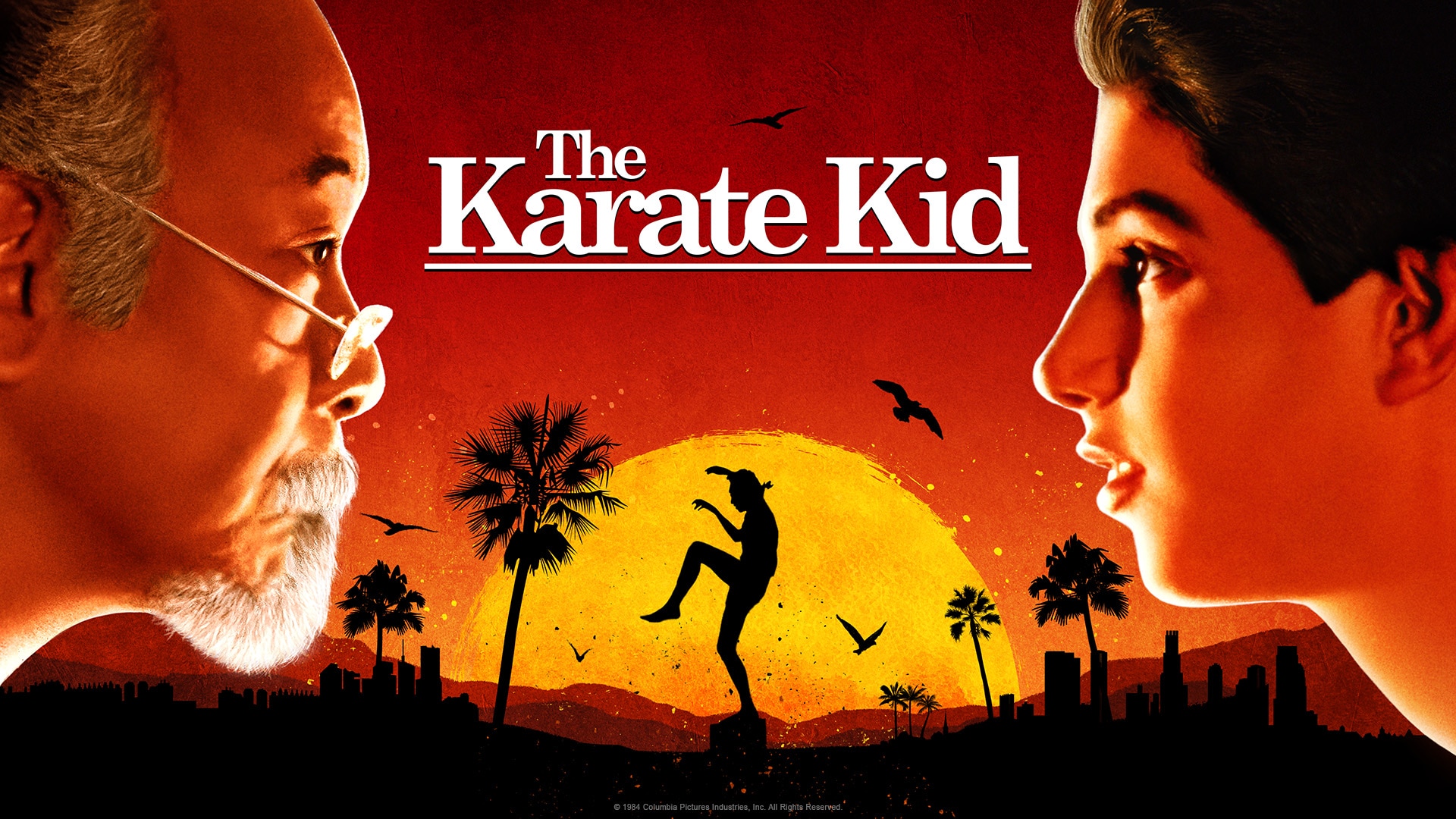 Kid 2010 The Next Karate Kid Netflix Kid 1984 Fmovies Karate Kid