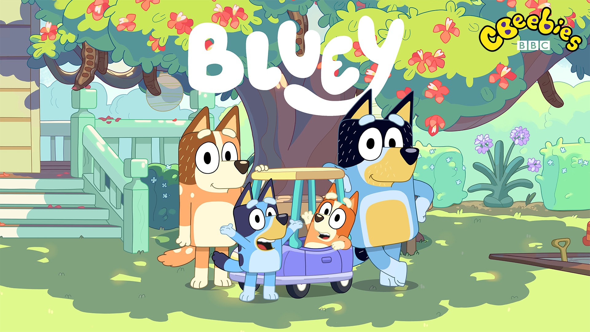 Full Episodes Bluey Baby Race Watch Bluey: Little Library 4-Book