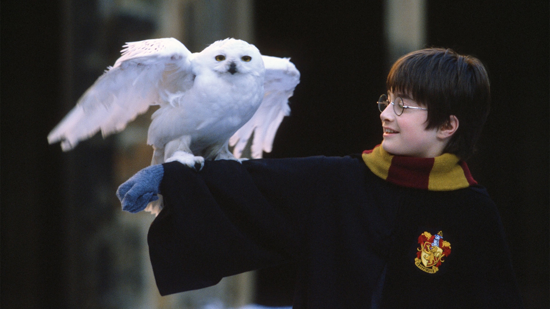 Watch harry potter store philosopher's stone free online