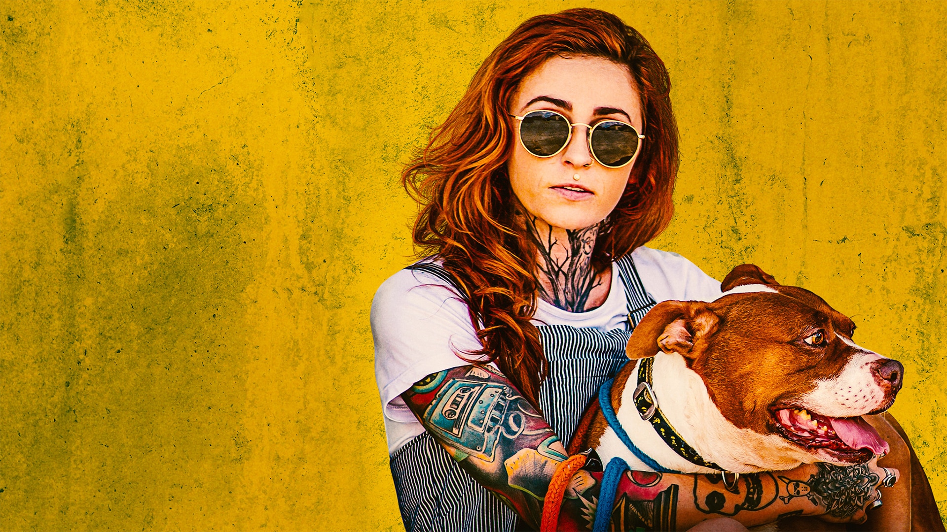 Watch Pit Bulls Parolees Online Season 11 12 on NEON