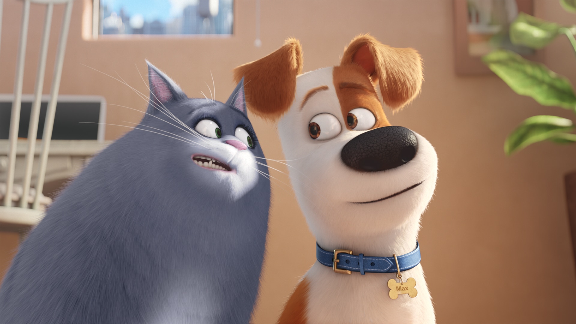 Watch The Secret Life of Pets Online with NEON
