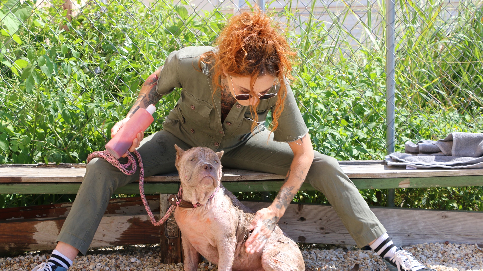 Watch Pit Bulls Parolees Online Season 11 12 on NEON