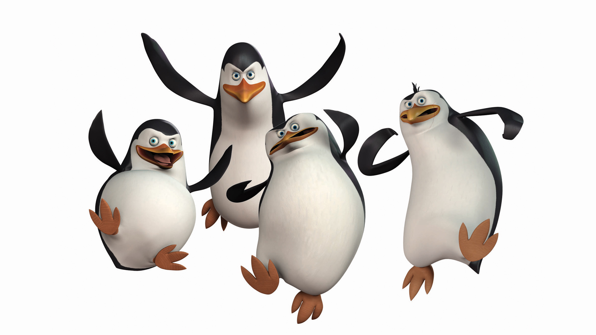 Фон пингвины из Мадагаскара