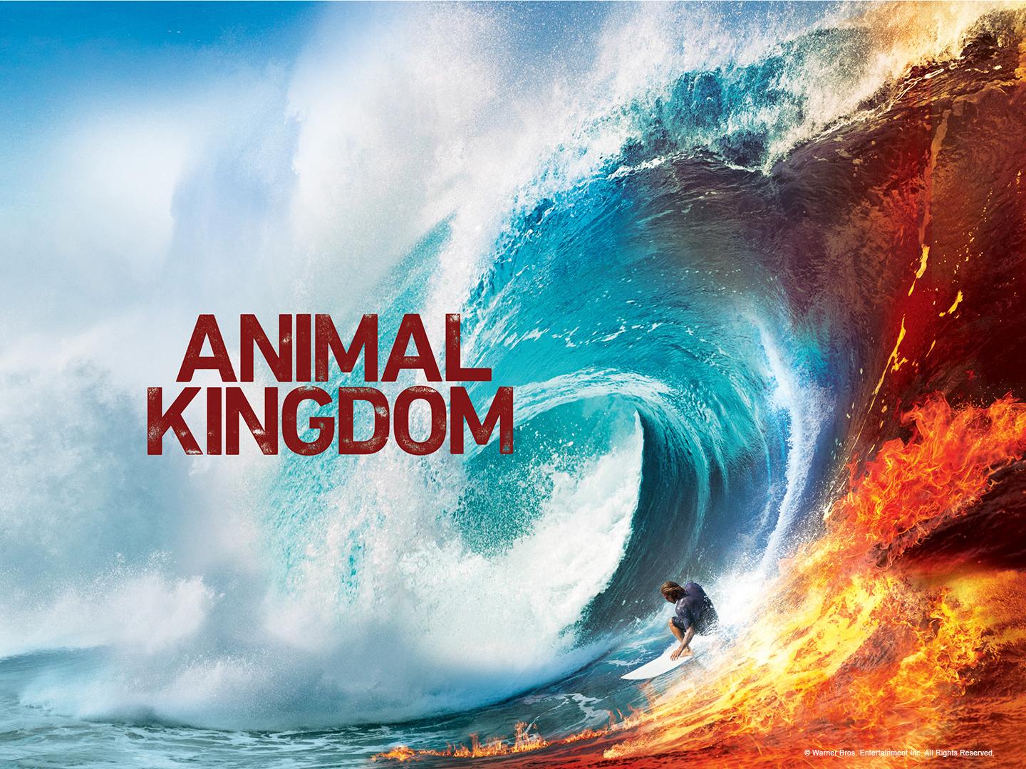 Watch Animal Kingdom Online | Season 1 - 6 on NEON