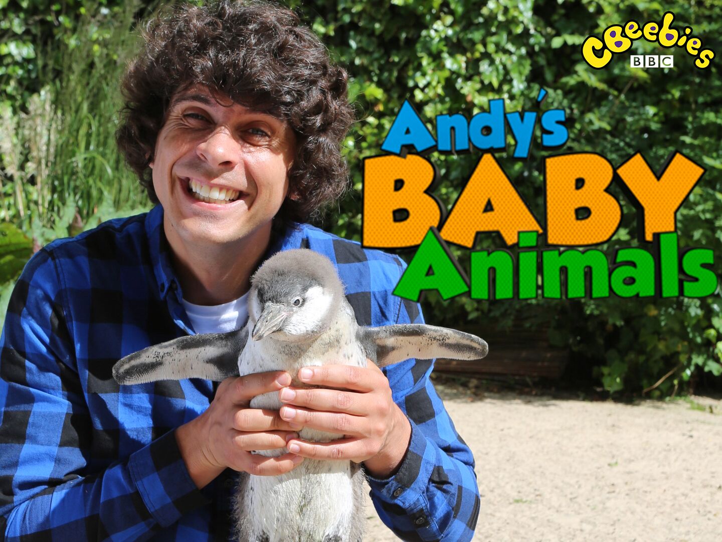 Watch Andy's Baby Animals Online | Season 1 on NEON