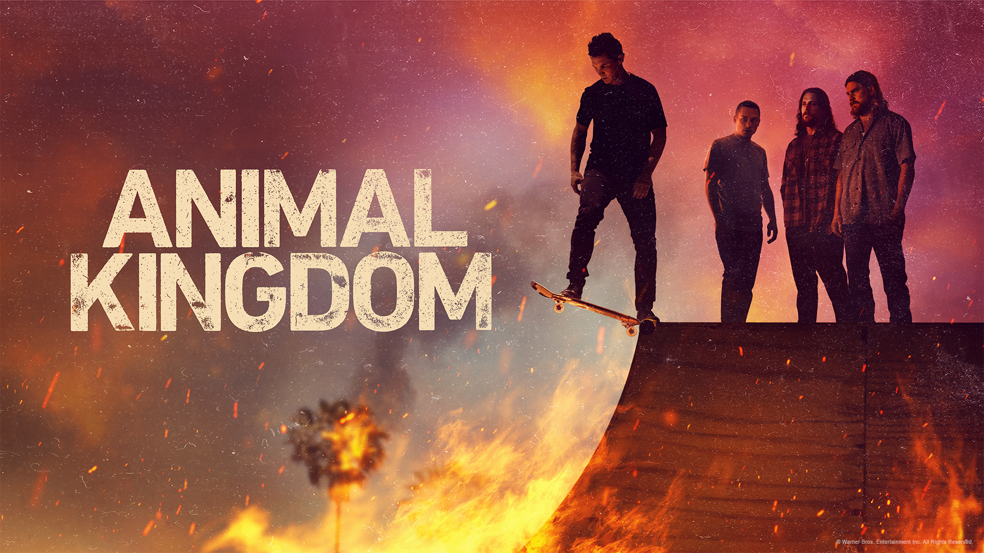 Watch Animal Kingdom Online Season 1 6 on NEON