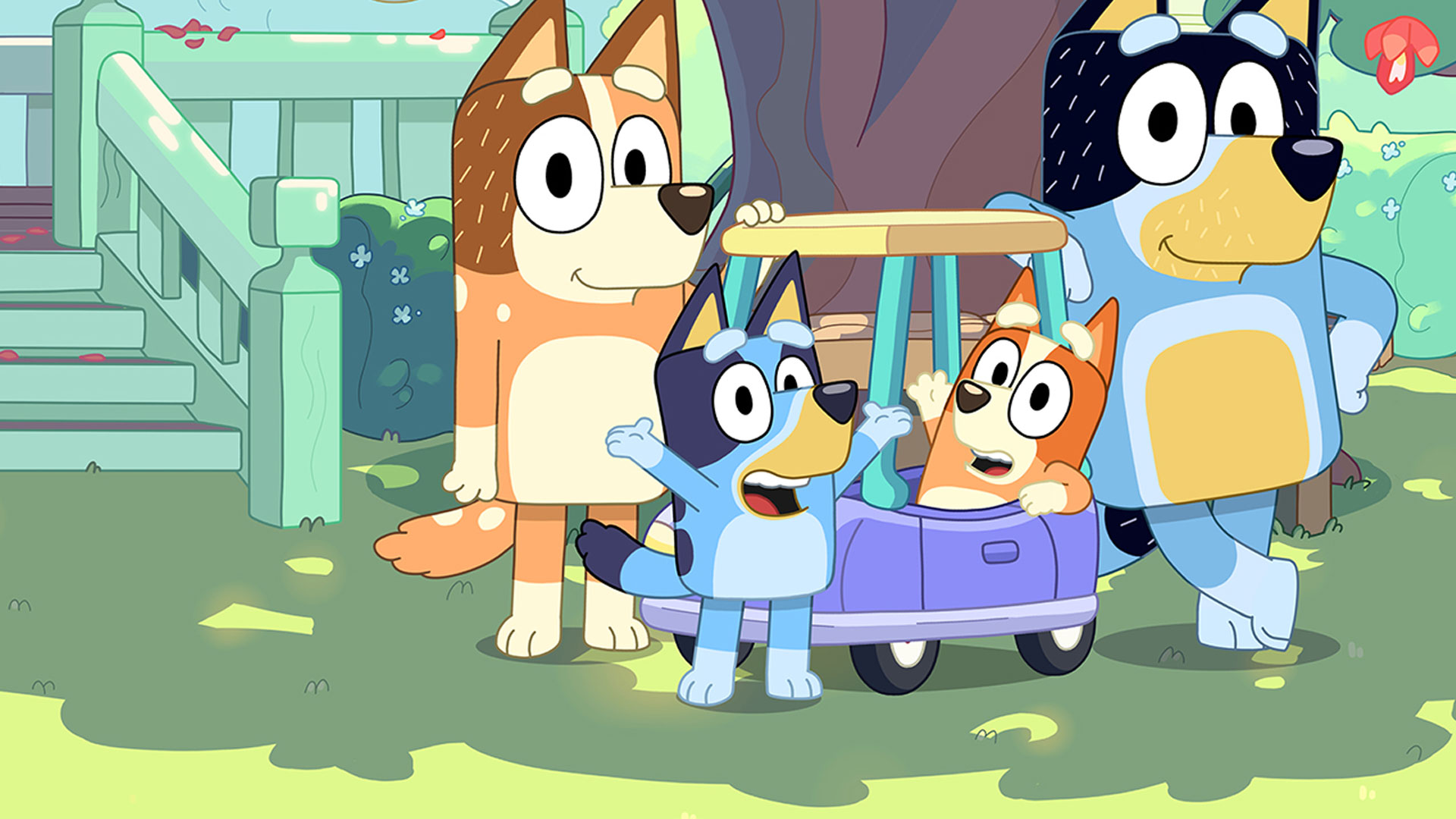 Abc Kids Bluey Shows To Watch Bingo Bluey Baby Race Watch Watch