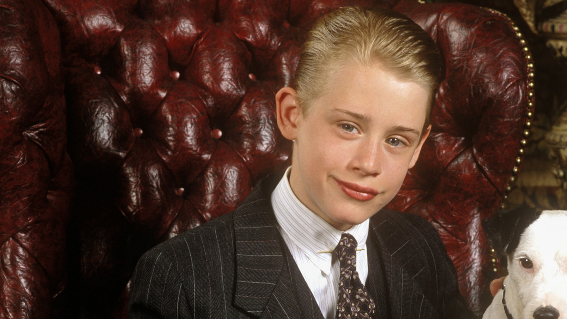 Watch Richie Rich Online with NEON